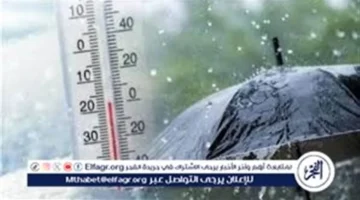 ارتفاع الحرارة ونشاط الرياح.. تفاصيل حالة الطقس المتوقعة بمصر يوم السبت 31 يناير 2026